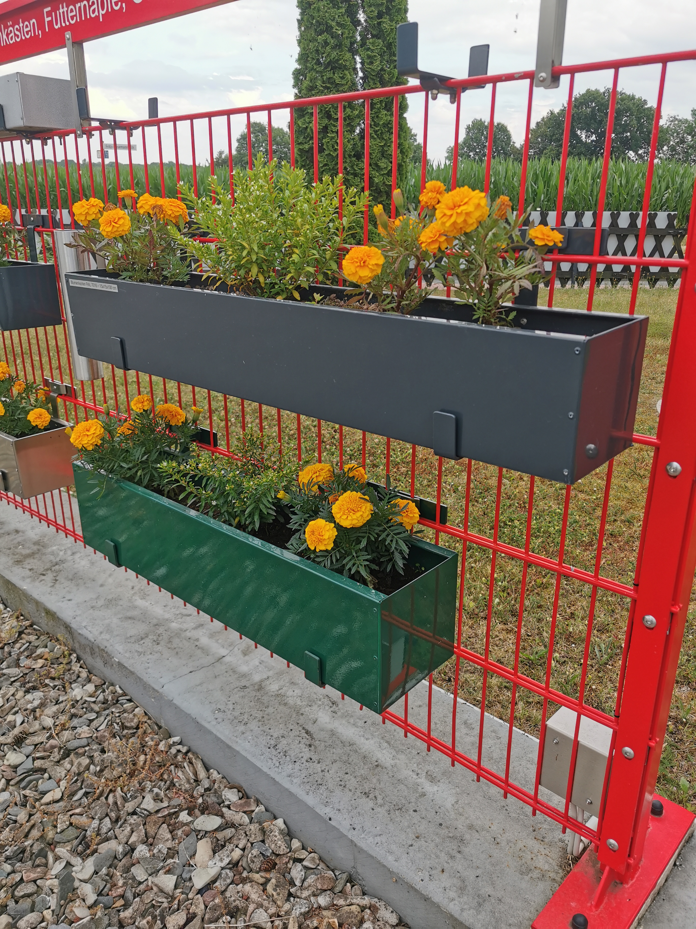 Pflanzksten & Halterungen vom Hersteller | WMT Bnen - Blumenkasten  verzinkt & beschichtet: Balkon Blumenksten in 15x15 cm