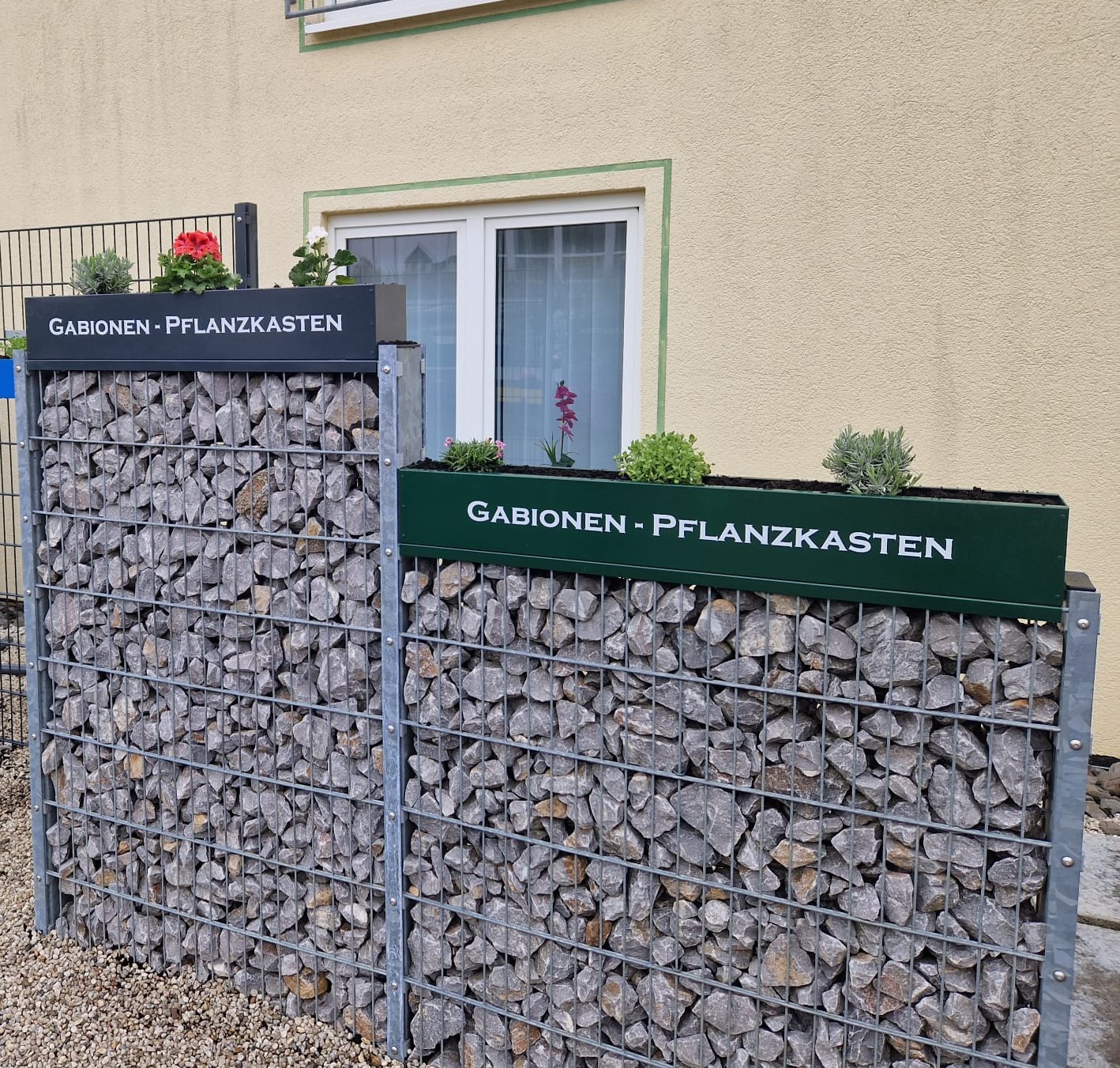 Pflanzksten & Halterungen vom Hersteller | WMT Bnen - Gabionen  Pflanzkasten und Zubehr