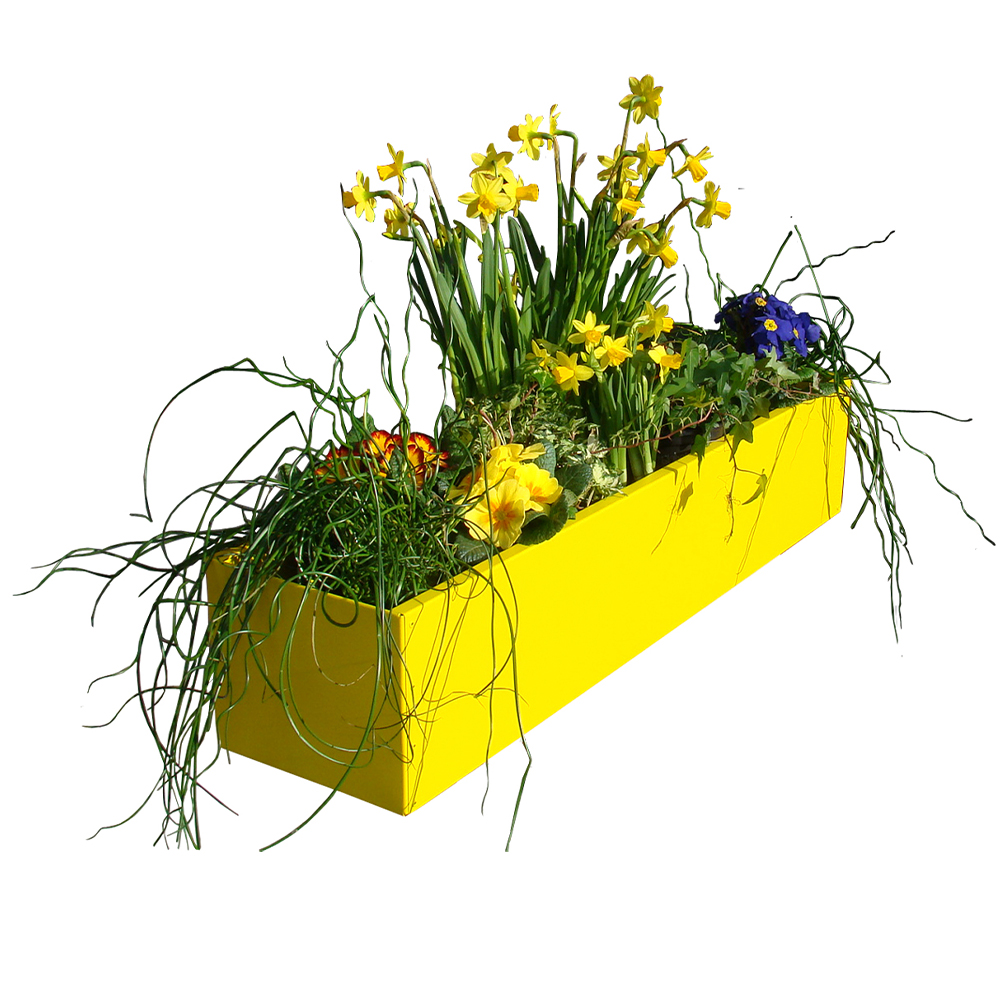 Pflanzksten & Halterungen vom Hersteller | WMT Bnen - Blumenkasten  pulverbeschichtet in Wunschfarben
